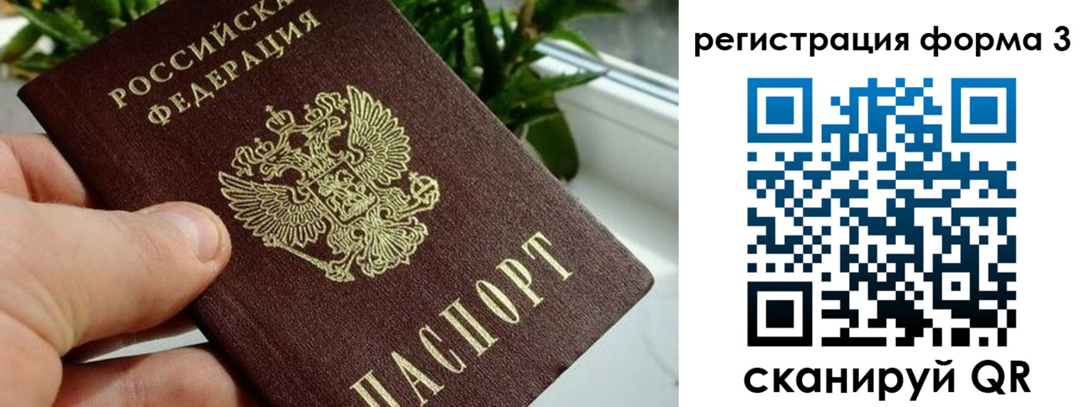 прописка штамп в Ельце